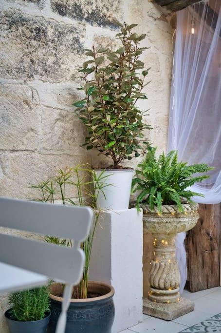 Appartement-Terrasse Centre Historique ユゼ エクステリア 写真